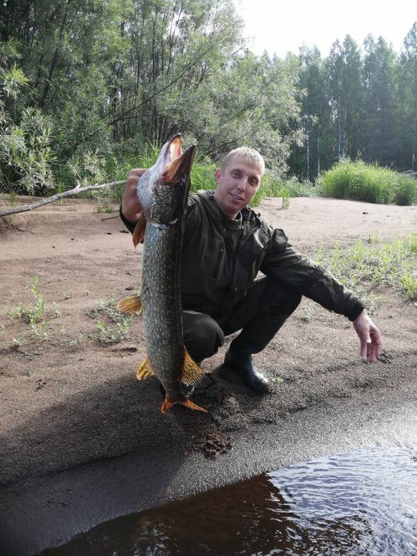 Фотоотчет по рыбе: Щука. Место рыбалки: Вологодская область