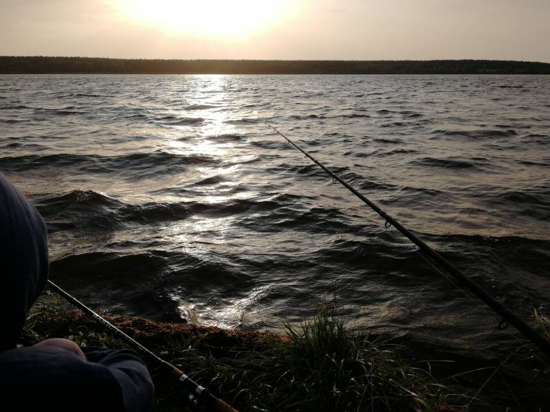 Фотоотчет с рыбалки. Место: Курская область