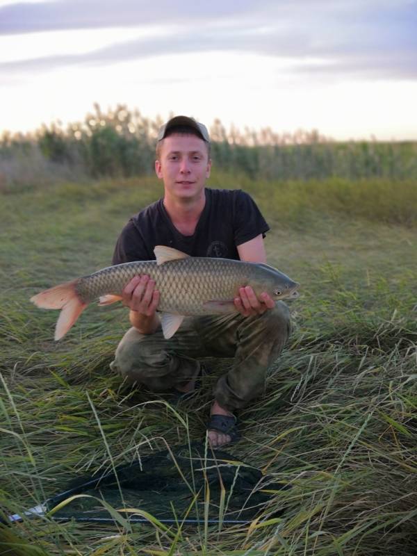 Фотоотчет по рыбе: Амур Белый. Место рыбалки: Ростовская область
