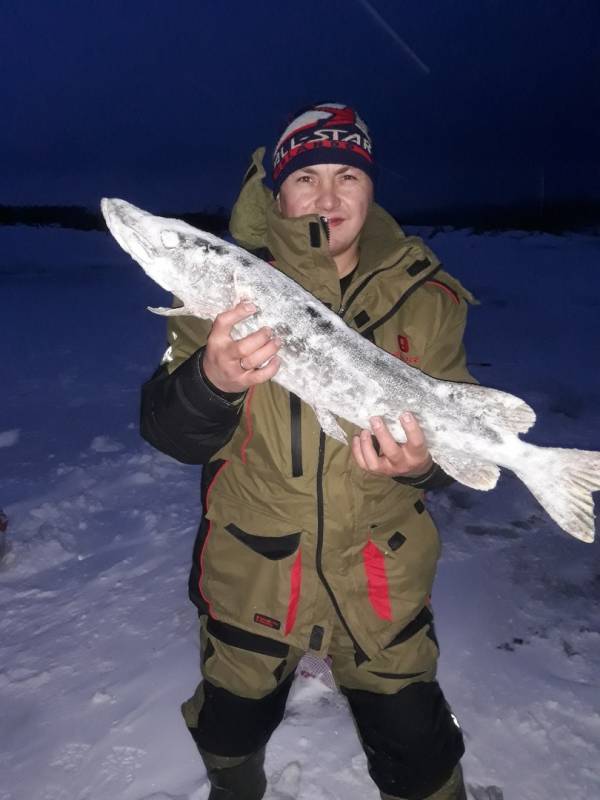 Рыболовный отчет по рыбе: Щука