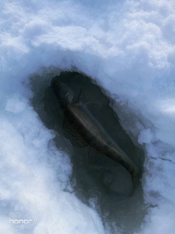 Фотоотчет с рыбалки. Место: Нижнекамское водохранилище