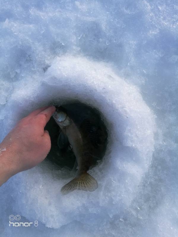 Фотоотчет с рыбалки. Место: Нижнекамское водохранилище