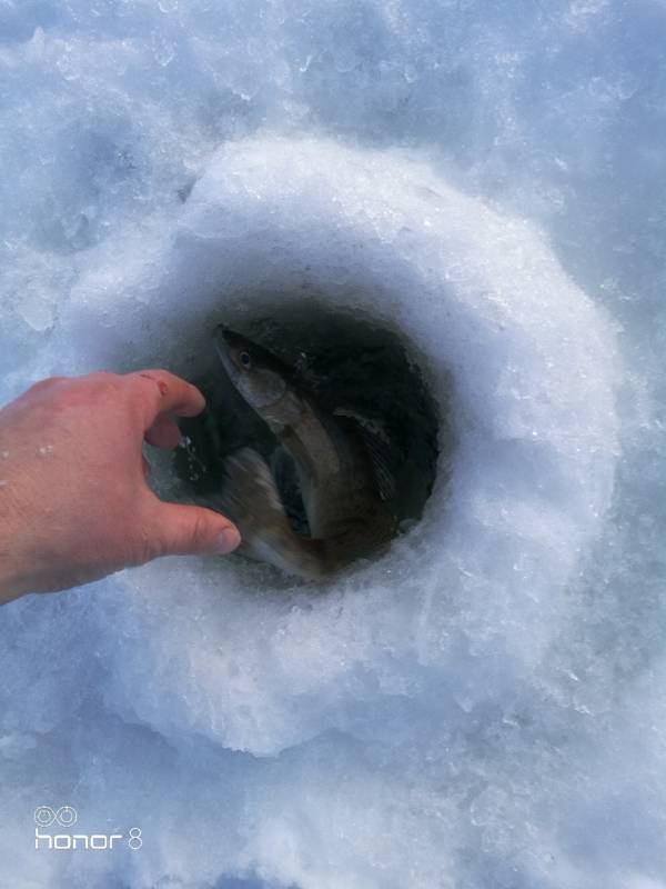 Фотоотчет с рыбалки. Место: Нижнекамское водохранилище