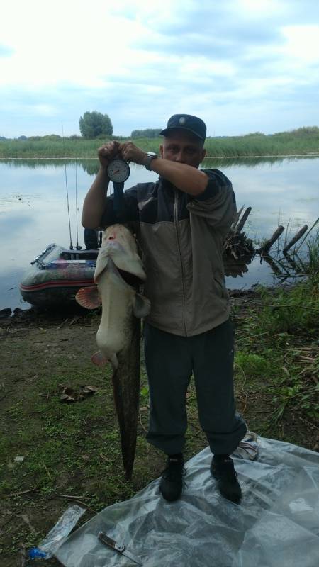 Фотоотчет по рыбе: Сом. Место рыбалки: Республика Татарстан