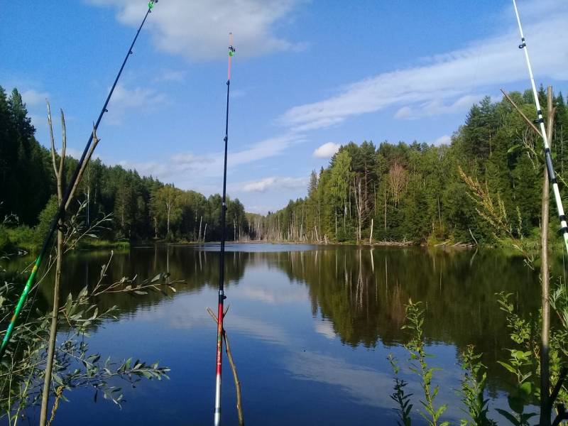 Фотоотчет с рыбалки. Место: Удмуртская Республика