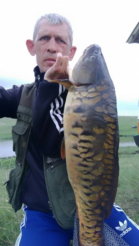 Фотоотчет по рыбе: Карп. Место рыбалки: Курская область