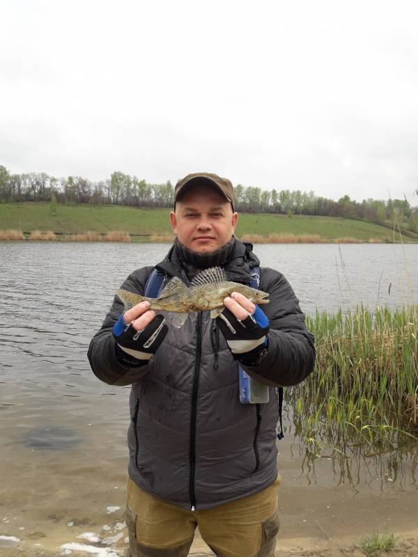Фотоотчет по рыбе: Судак. Место рыбалки: Белгородская область