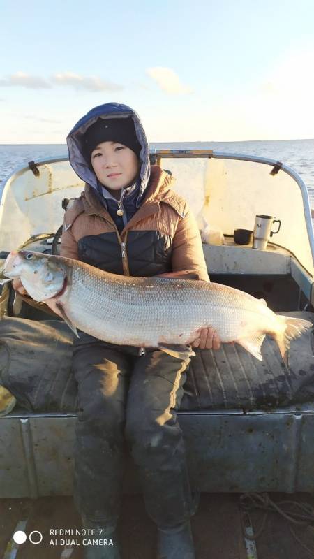 Фотоотчет по рыбе: Нельма. Место рыбалки: Ямало-Ненецкий автономный округ