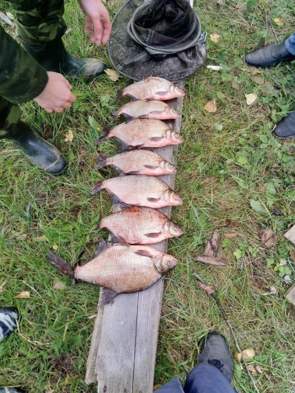 Фотоотчет с рыбалки. Место: Нижегородская область