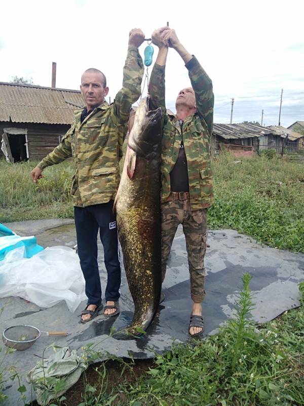 Фотоотчет по рыбе: Сом. Место рыбалки: Волгоградская область