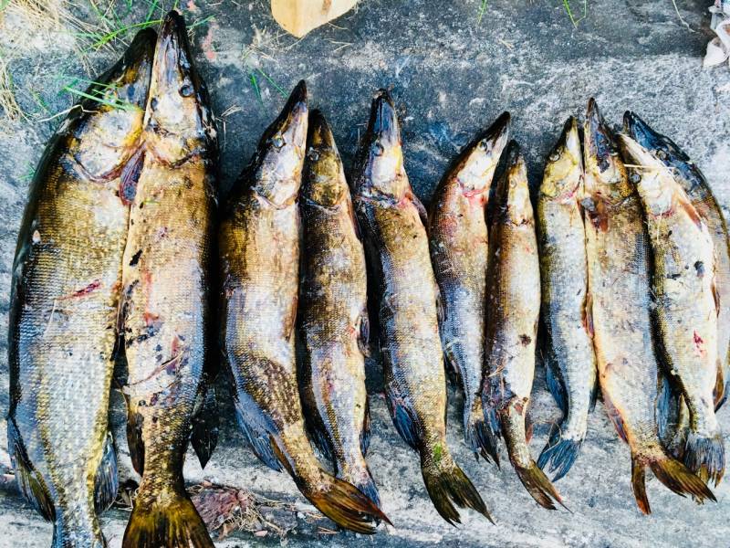 Фотоотчет с рыбалки. Место: Кандалакшский район