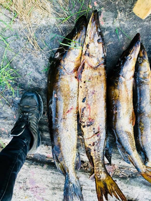 Фотоотчет с рыбалки. Место: Кандалакшский район