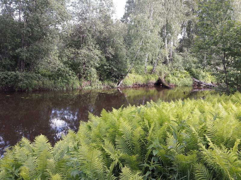 Фотоотчет с рыбалки. Место: Винзили