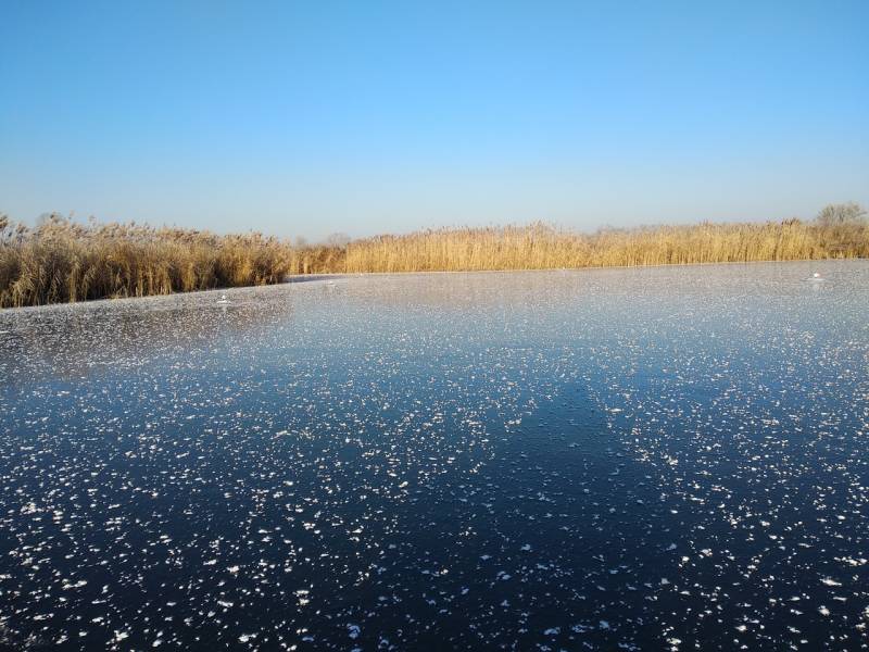 Фотоотчет с рыбалки. Место: Уруссу