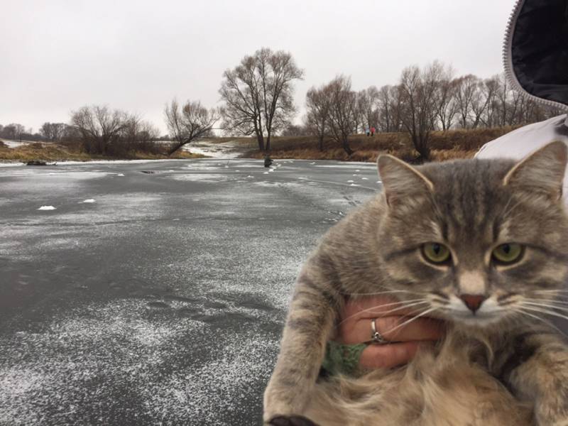 Фотоотчет с рыбалки. Место: Клязьма