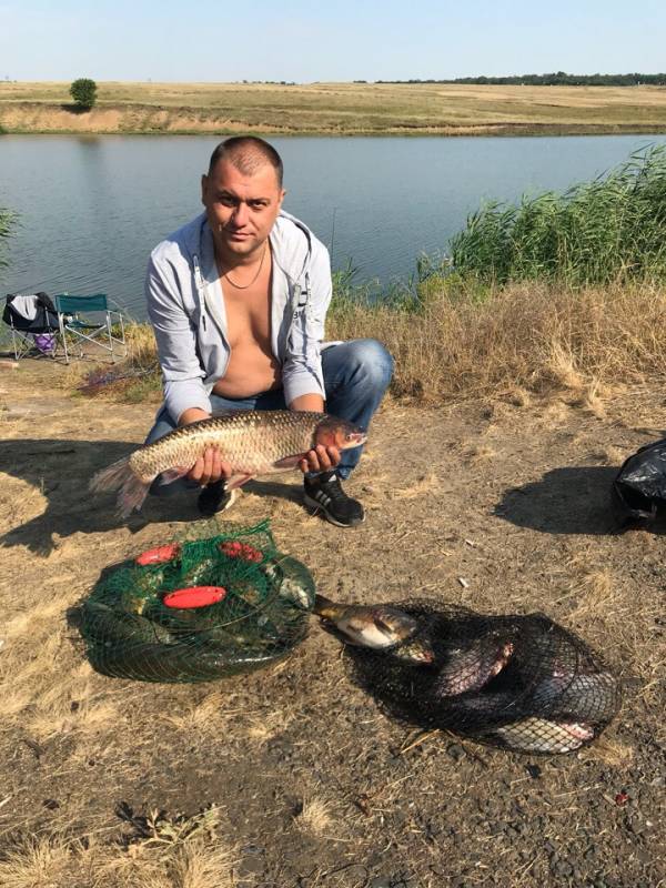 Фотоотчет по рыбе: Амур Белый, Карп. Место рыбалки: Ростовская область