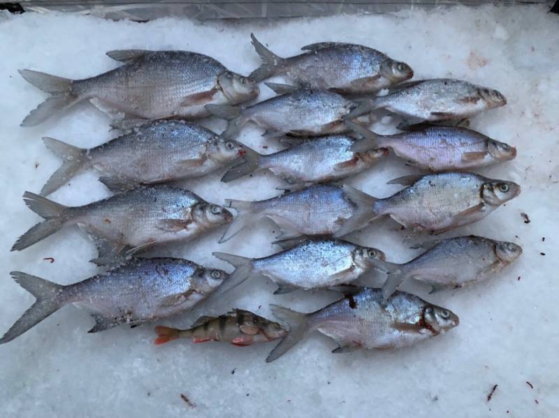 Фотоотчет с рыбалки. Место: Иркутское водохранилище