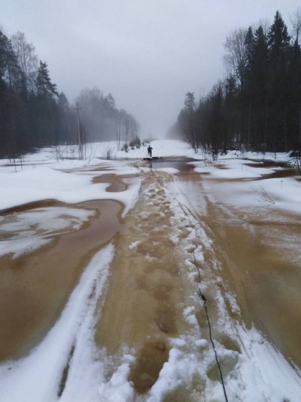 Фотоотчет с рыбалки. Место: Вологодская область