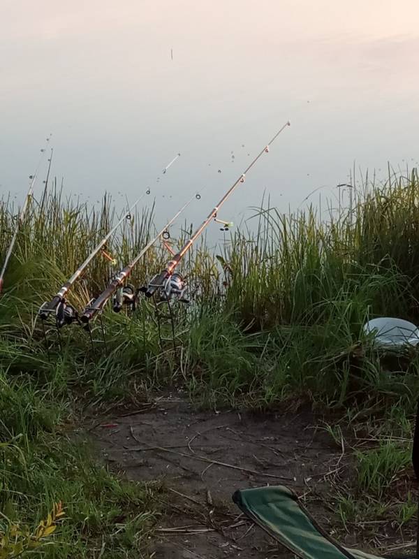 Фотоотчет с рыбалки. Место: Нижегородская область
