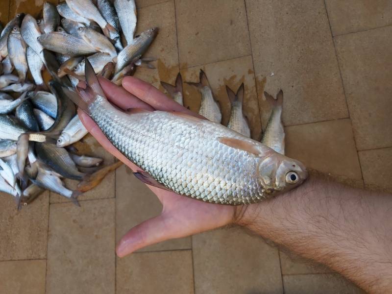 Фотоотчет с рыбалки. Место: Республика Дагестан