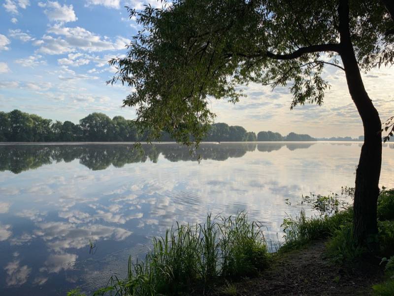 Фотоотчет с рыбалки. Место: Раменский городской округ