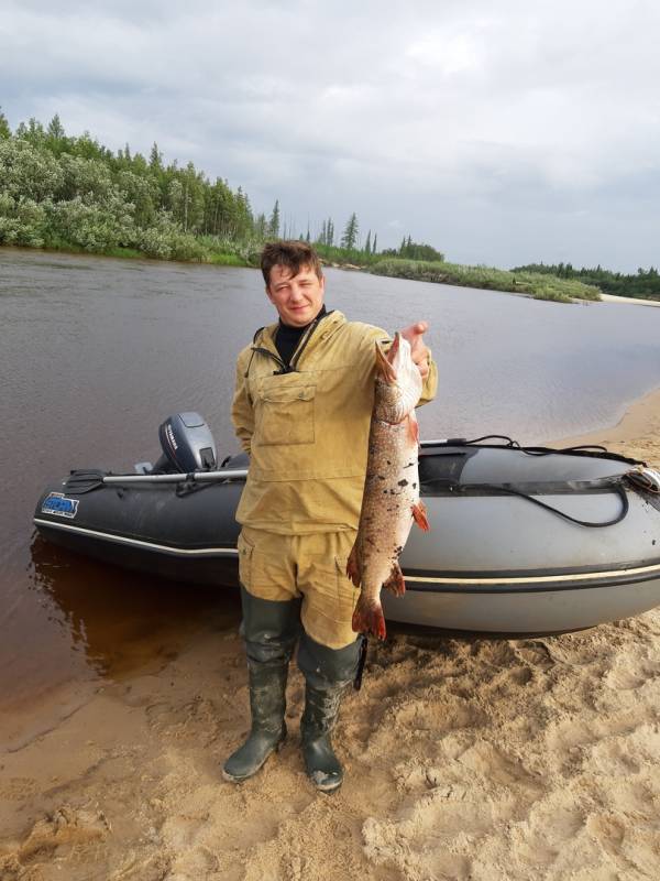 Фотоотчет по рыбе: Щука. Место рыбалки: Ямало-Ненецкий автономный округ