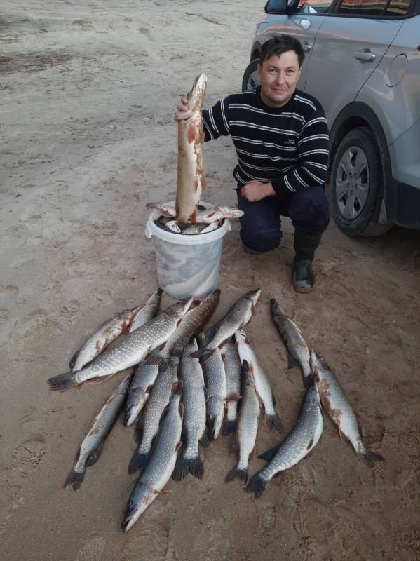 Фотоотчет по рыбе: Щука. Место рыбалки: Ямало-Ненецкий автономный округ