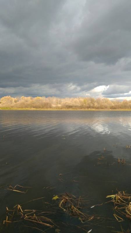 Фотоотчет с рыбалки. Место: Дединово