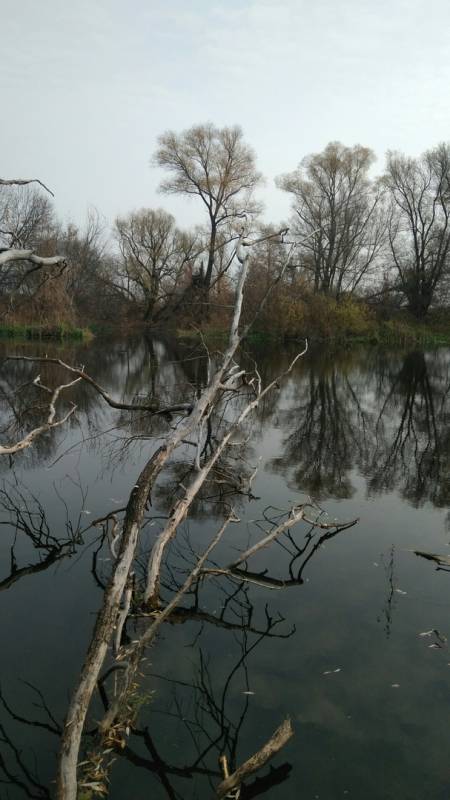 Фотоотчет с рыбалки. Место: Дединово