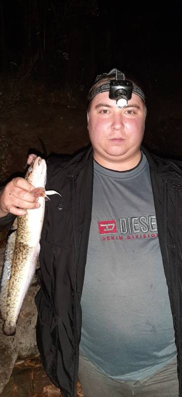 Фотоотчет по рыбе: Налим. Место рыбалки: Республика Татарстан