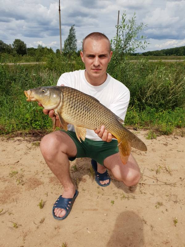 Фотоотчет по рыбе: Сазан. Место рыбалки: Нижегородская область