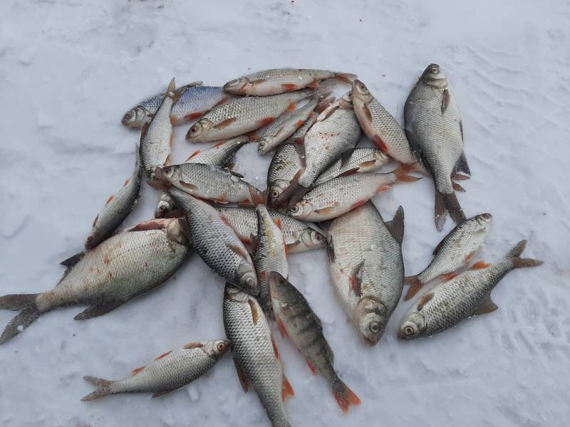 Фотоотчет с рыбалки. Место: Красноярское водохранилище