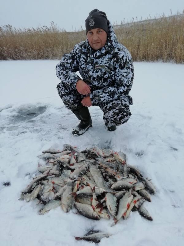 Фотоотчет по рыбе: Карась, Плотва. Место рыбалки: Саратовская область
