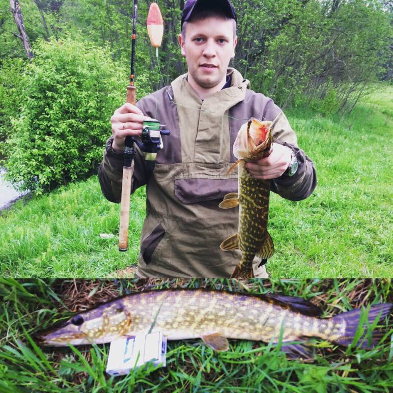 Фотоотчет по рыбе: Щука. Место рыбалки: Врево озеро (Ленинградская обл)