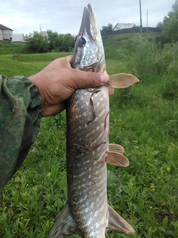 Фотоотчет с рыбалки. Место: Барнаул (Алтайский край)