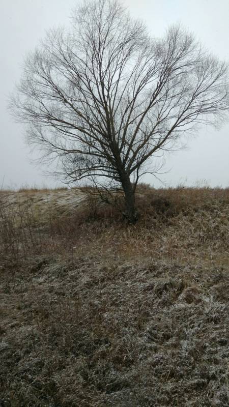 Фотоотчет с рыбалки. Место: Дединово