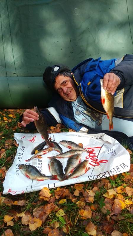 Фотоотчет по рыбе: Окунь. Место рыбалки: Ивановская область