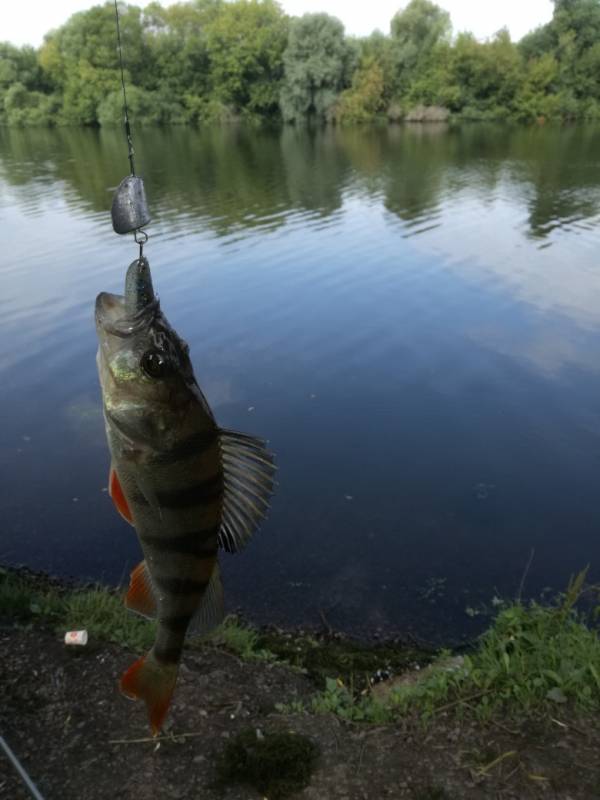 Фотоотчет с рыбалки. Место: Раменское