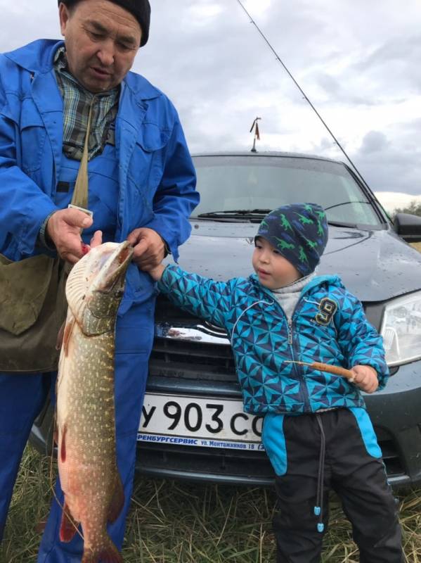 Фотоотчет по рыбе: Щука. Место рыбалки: Оренбургская область