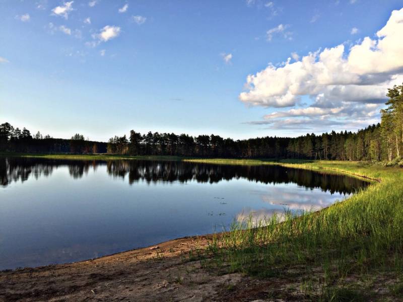 Фотоотчет с рыбалки. Место: Новгородская область