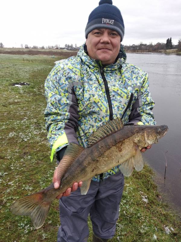 Фотоотчет по рыбе: Судак. Место рыбалки: Новгородская область
