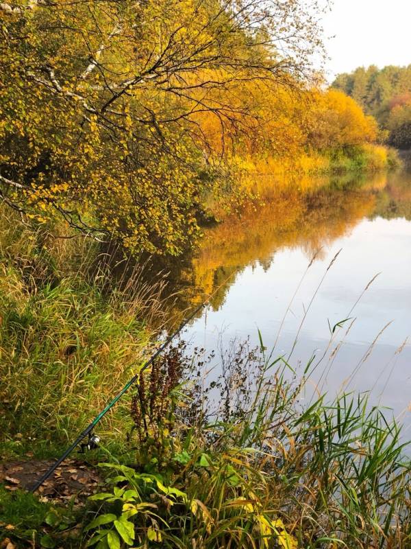 Фотоотчет с рыбалки. Место: Тагильский пруд