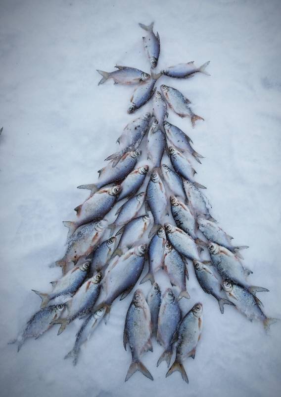 Фотоотчет по рыбе: Плотва. Место рыбалки: Казань (Татарстан)