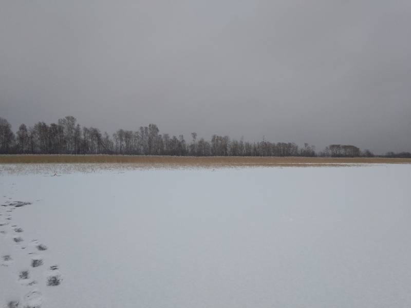 Фотоотчет с рыбалки. Место: Каслинский район