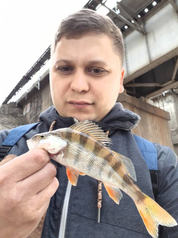 Фотоотчет по рыбе: Окунь. Место рыбалки: Казань (Татарстан)