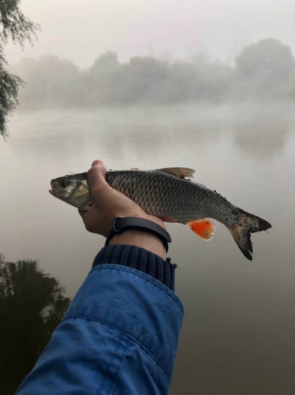 Фотоотчет с рыбалки. Место: Раменское