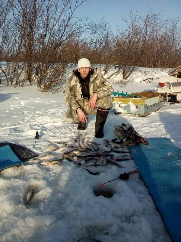 Фотоотчет по рыбе: Плотва. Место рыбалки: Ненецкий автономный округ
