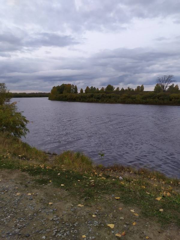 Фотоотчет с рыбалки. Место: озеро Андреевское (Тюменская обл.)