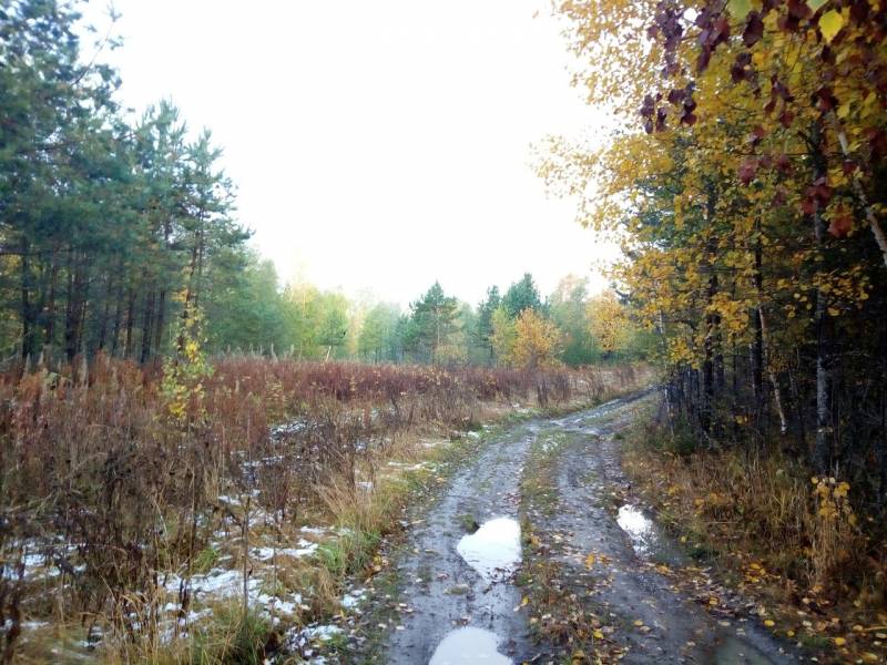 Фотоотчет с рыбалки. Место: Приозерский район