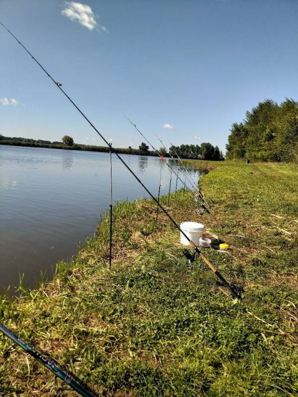 Фотоотчет с рыбалки. Место: Воронеж